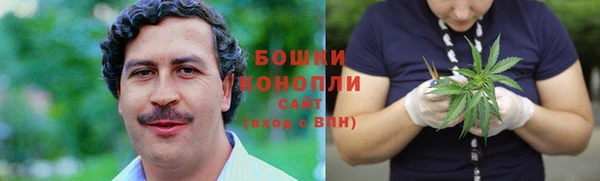 дмт Пересвет