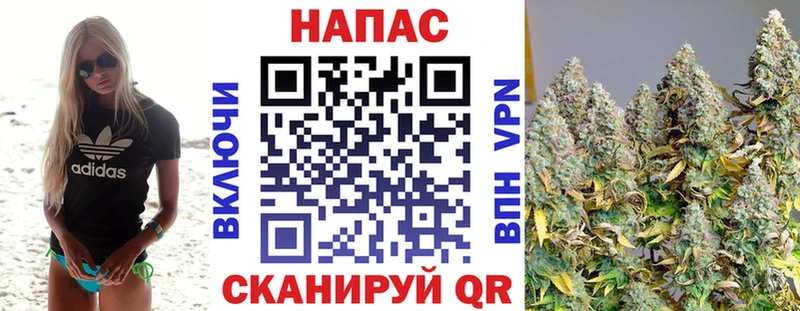 Марихуана индика  Боготол 